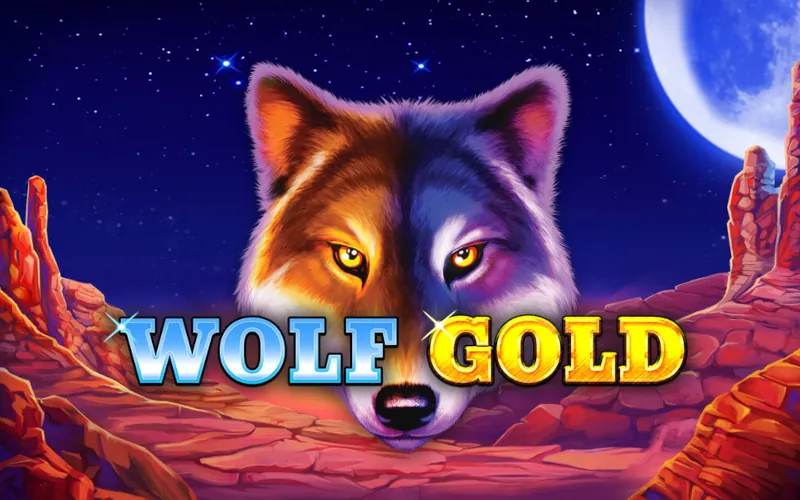 Win wild prizes in the Wolf Gold slot at 1win India.